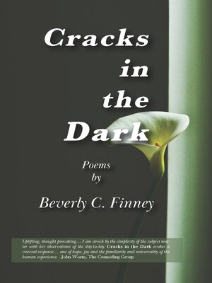 cover image of Cracks in the Dark